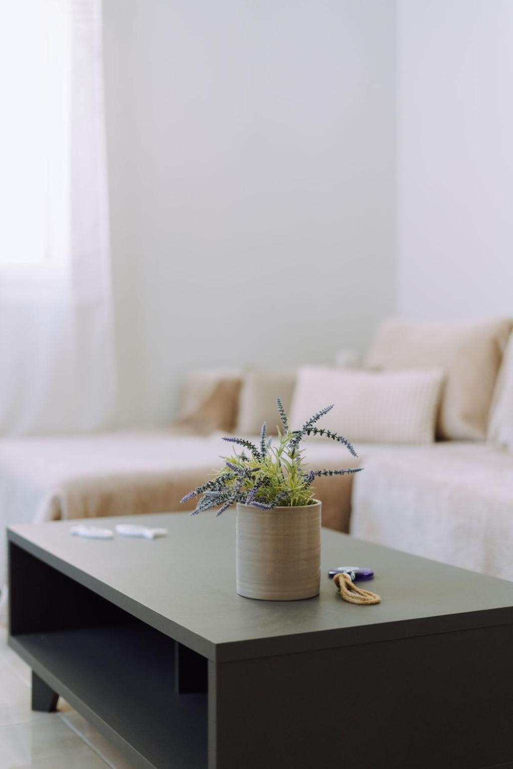 Lithostroto Suites Argostoli  Esterno foto